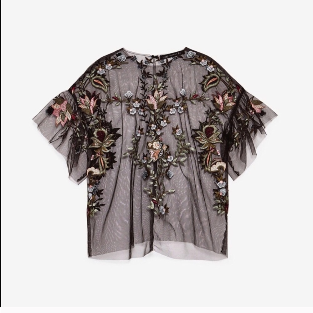 Zara embroidered sheer short sleeve top - Picture 2 of 5